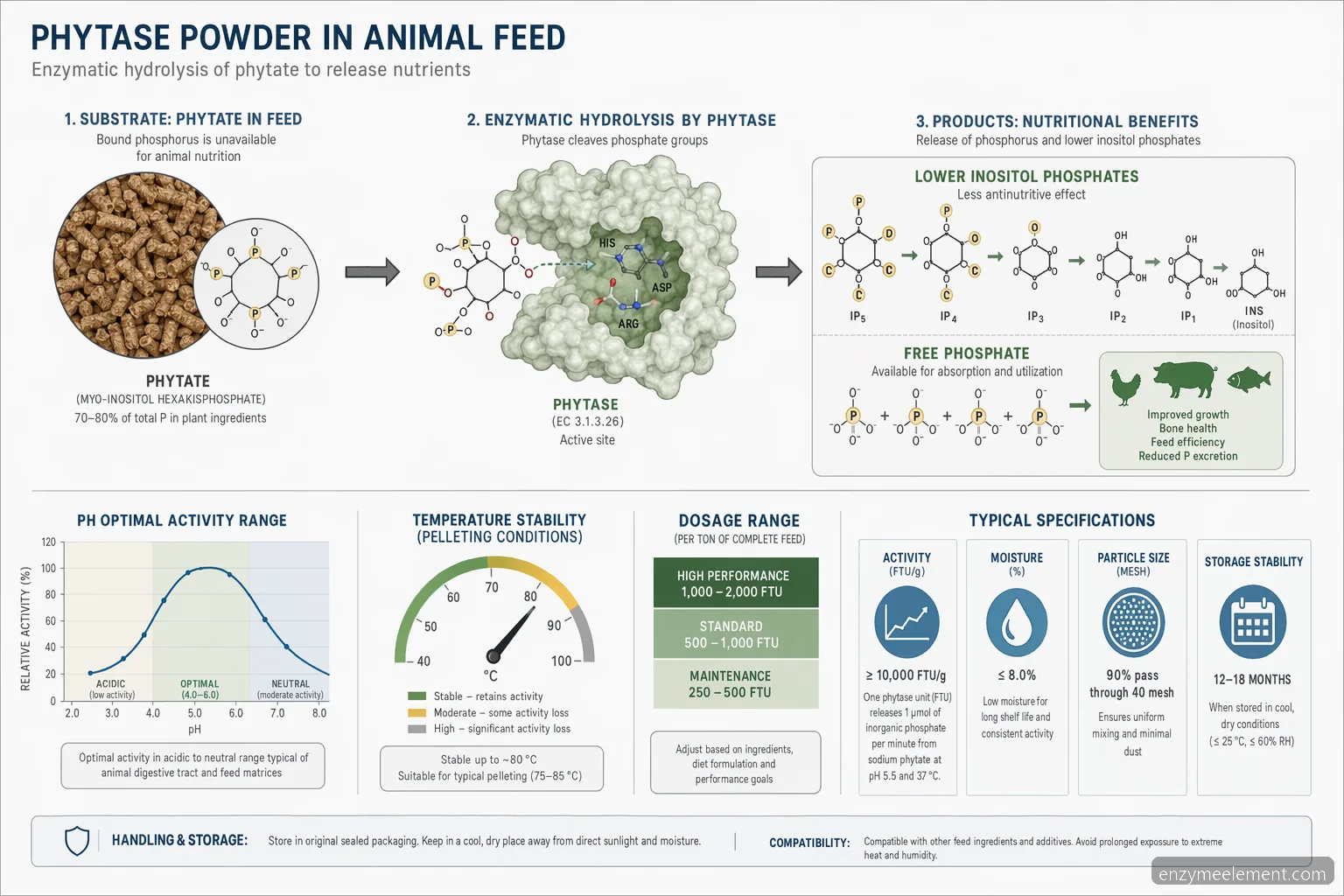phytase powder for animal feed supplier guide diagram mapping phytate hydrolysis, pH range, temperature, and released phosphorus