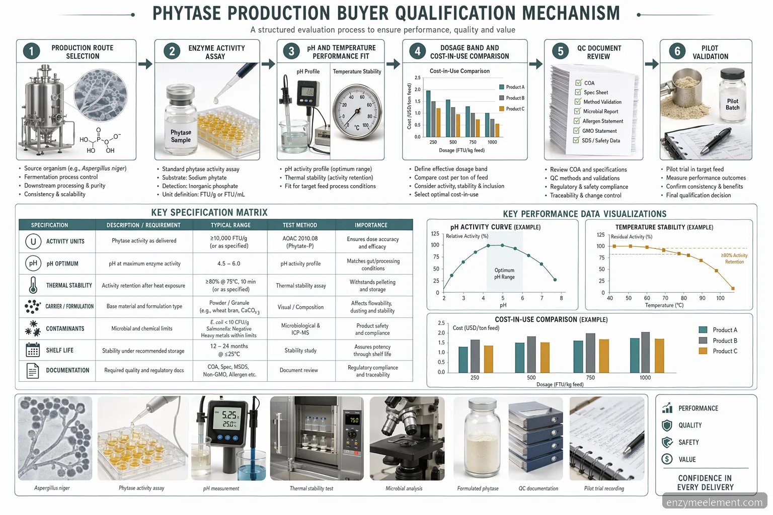 phytase production performance diagram comparing activity curves, dosage bands, QC documents, and pilot validation
